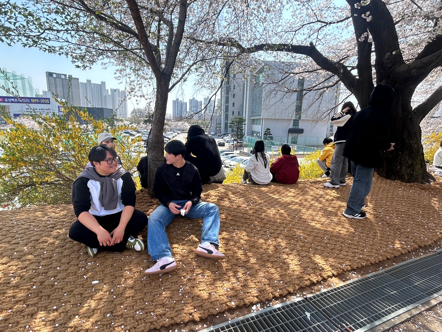 평택다문화대안학교 3주차 대표이미지